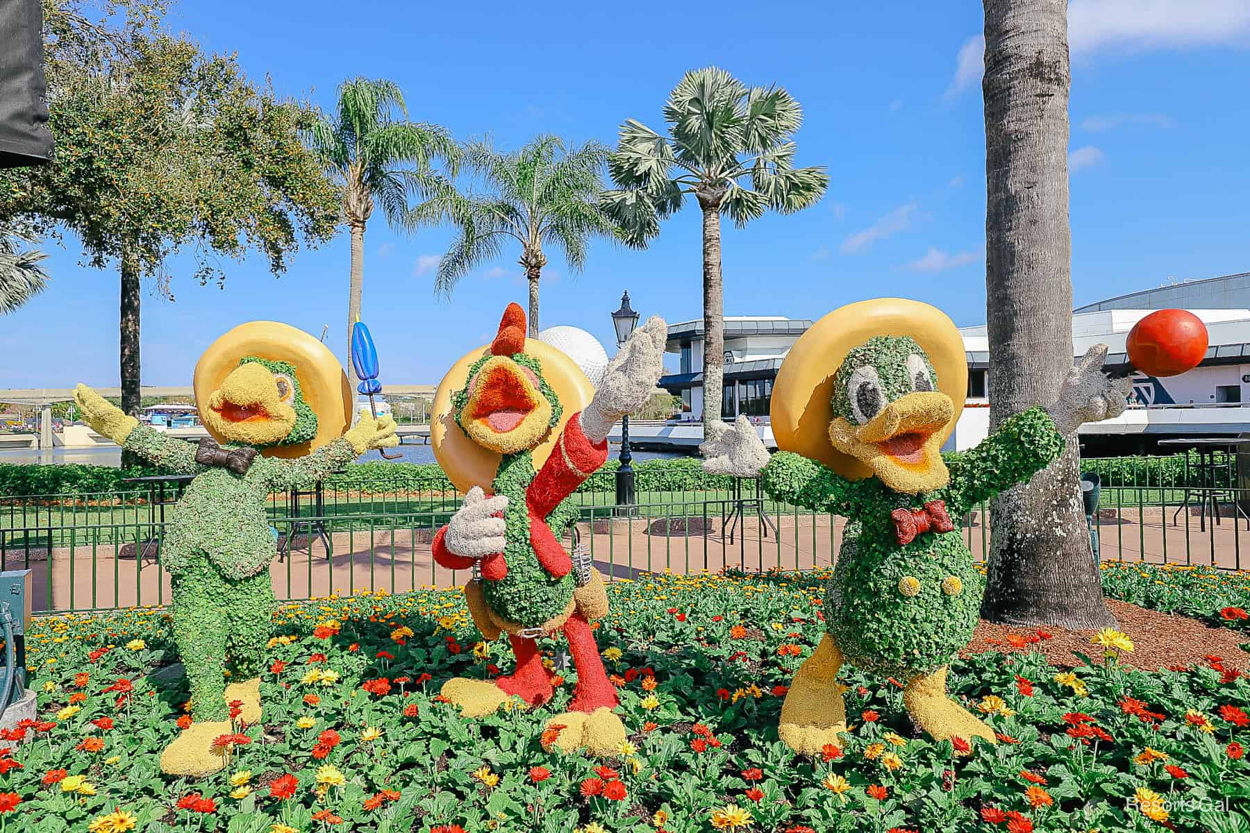 A Look Back at The Three Caballeros Topiary at Epcot’s International Flower and Garden Festival