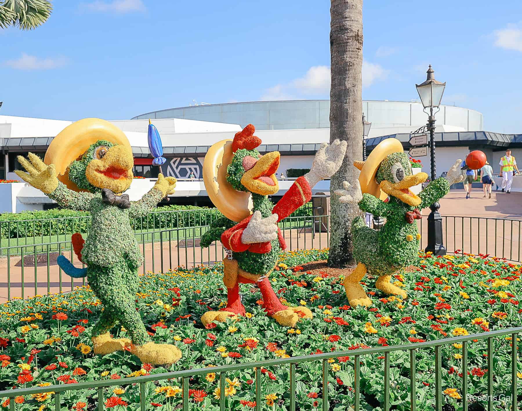 The Three Caballeros topiary in 2023. Jose has a blue umbrella, Panchito is wearing red, and Donald has yellow buttons on his shirt. 