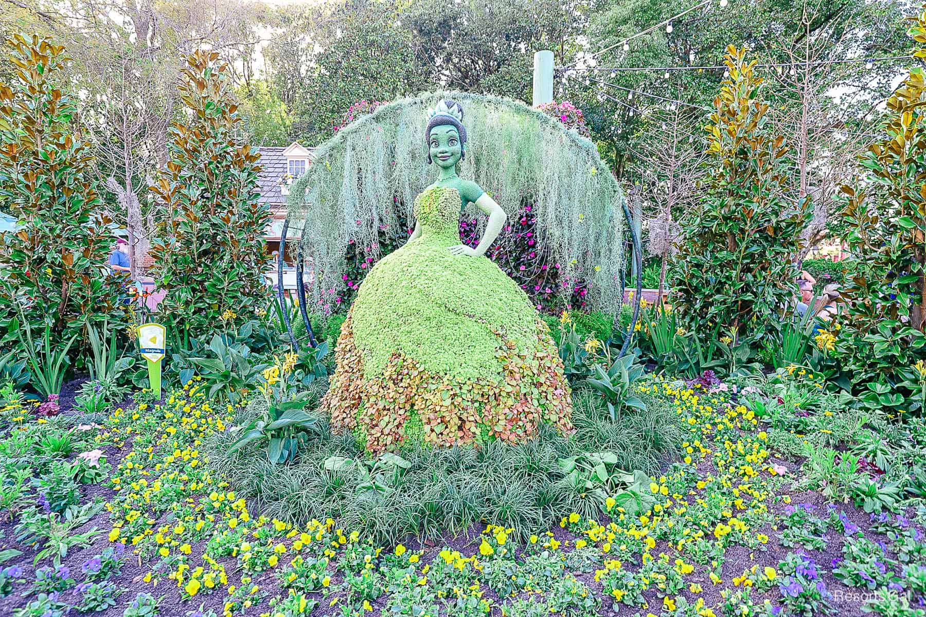 overall view of Princess Tiana in 2024 with full flowerbed surrounding her