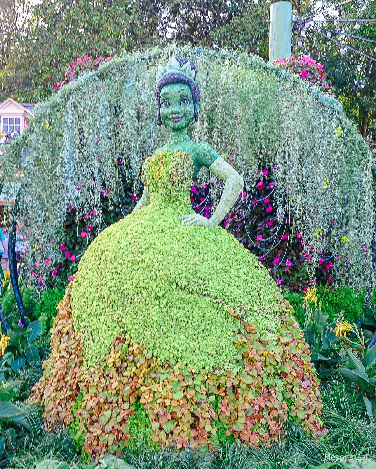 Princess Tiana topiary in 2024 with brighter leaf colors and varying shades on her dress. 