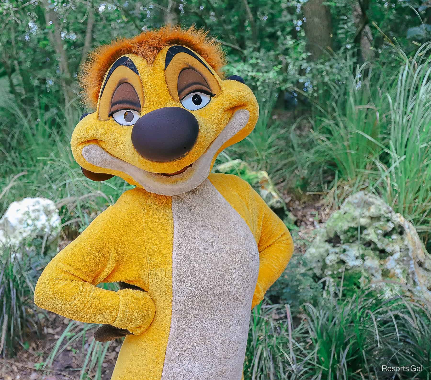 Timon poses with hands on hips 