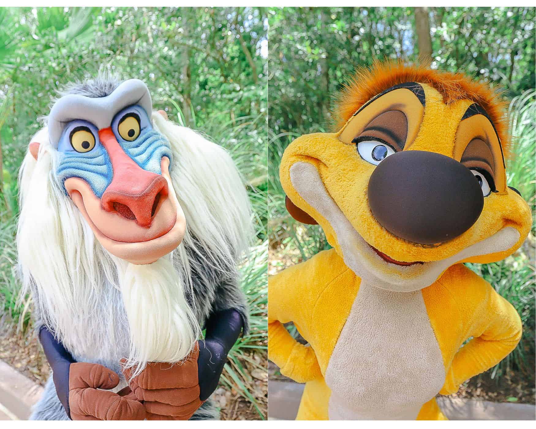 Timon and Rafiki at Disney's Animal Kingdom