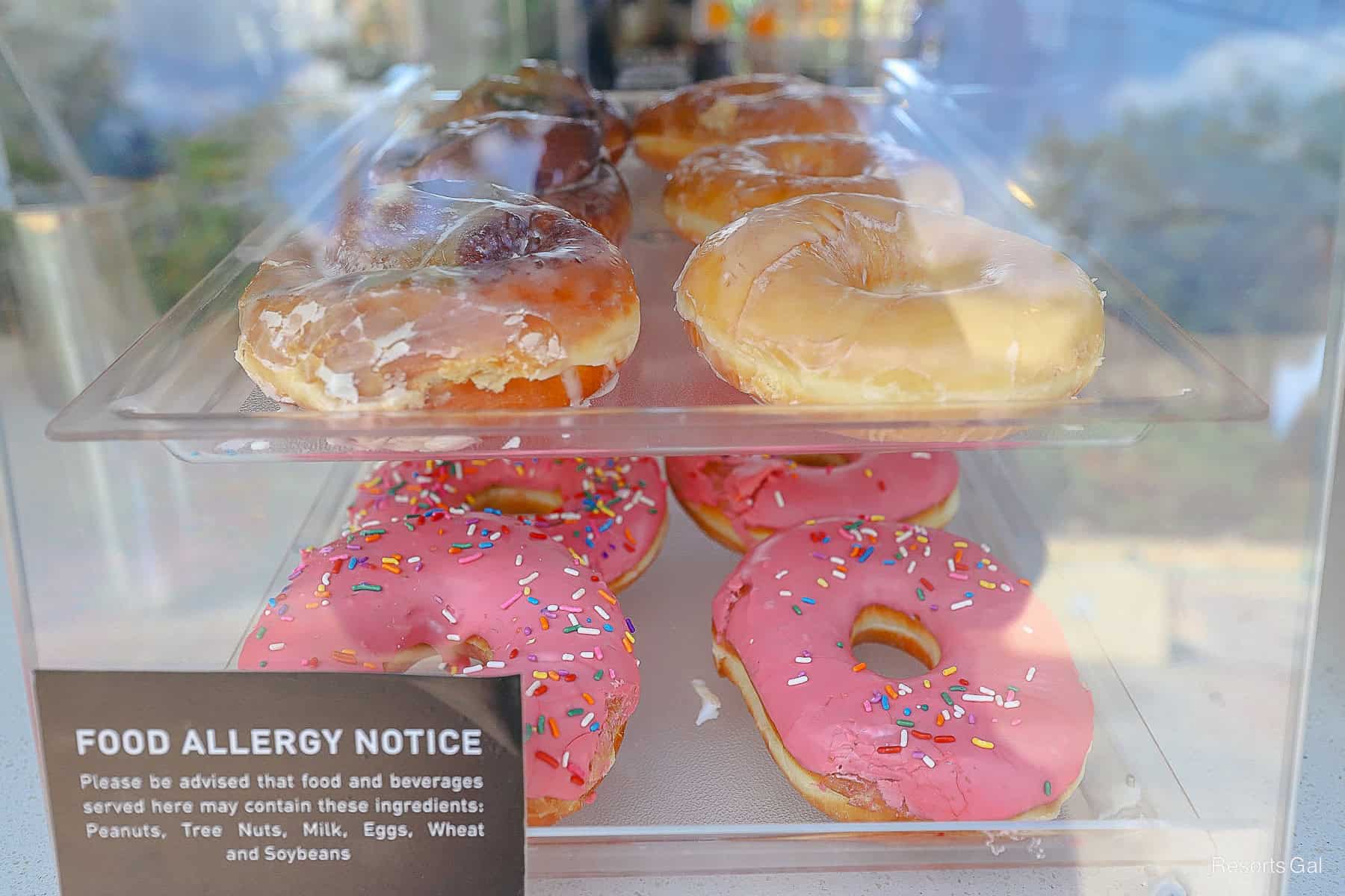 large donuts with icing at Joffrey's at Typhoon Lagoon 