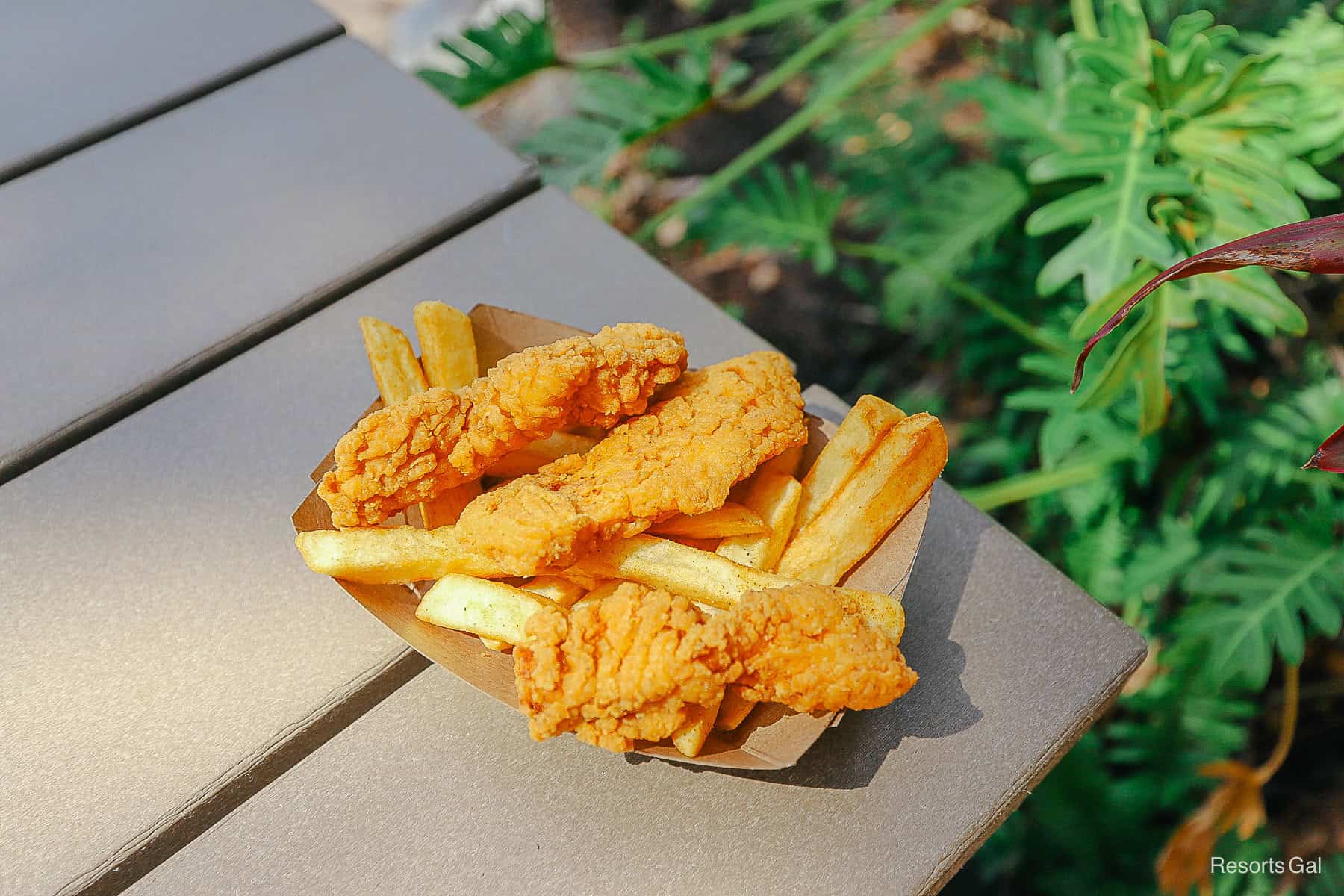 a chicken nuggets kids' meal from Typhoon Lagoon 