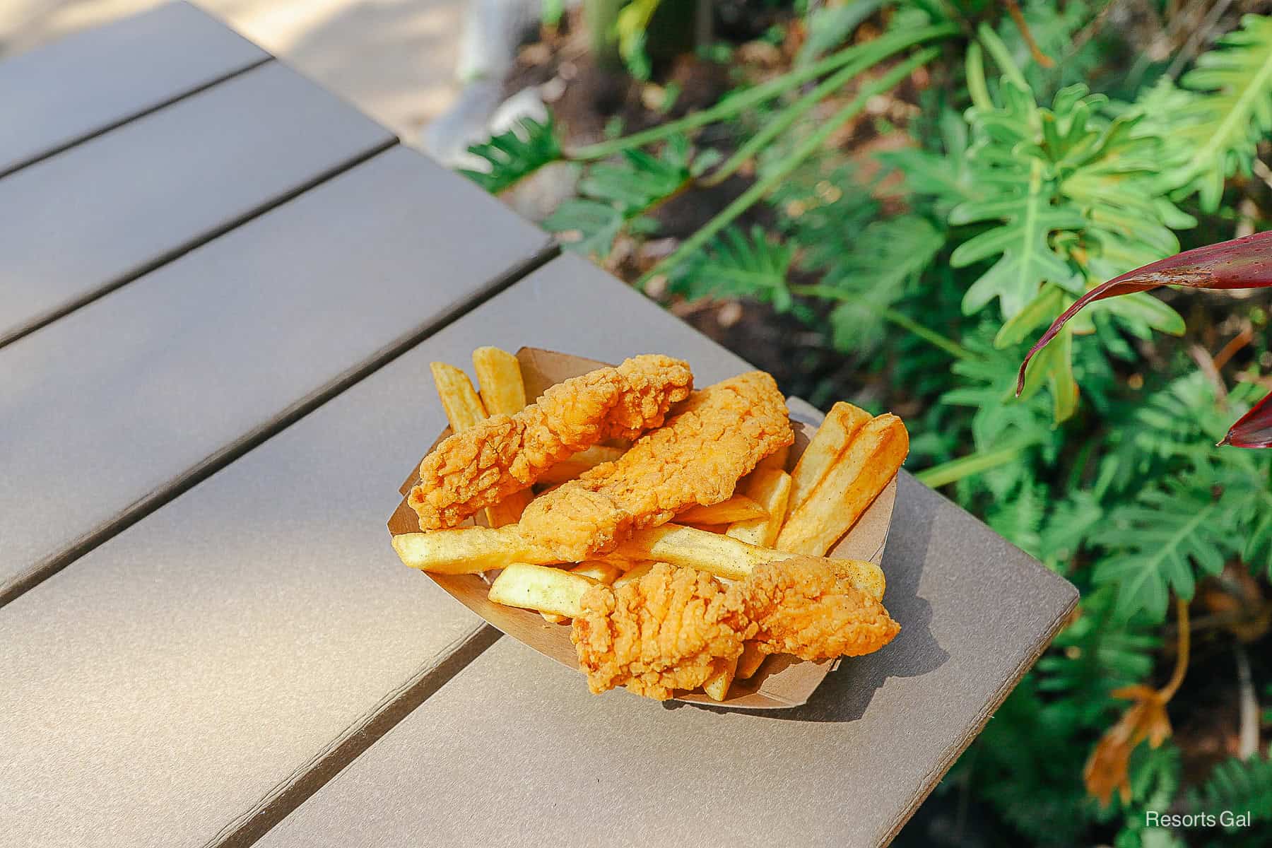 an order of chicken strips with fries from Blizzard Beach 