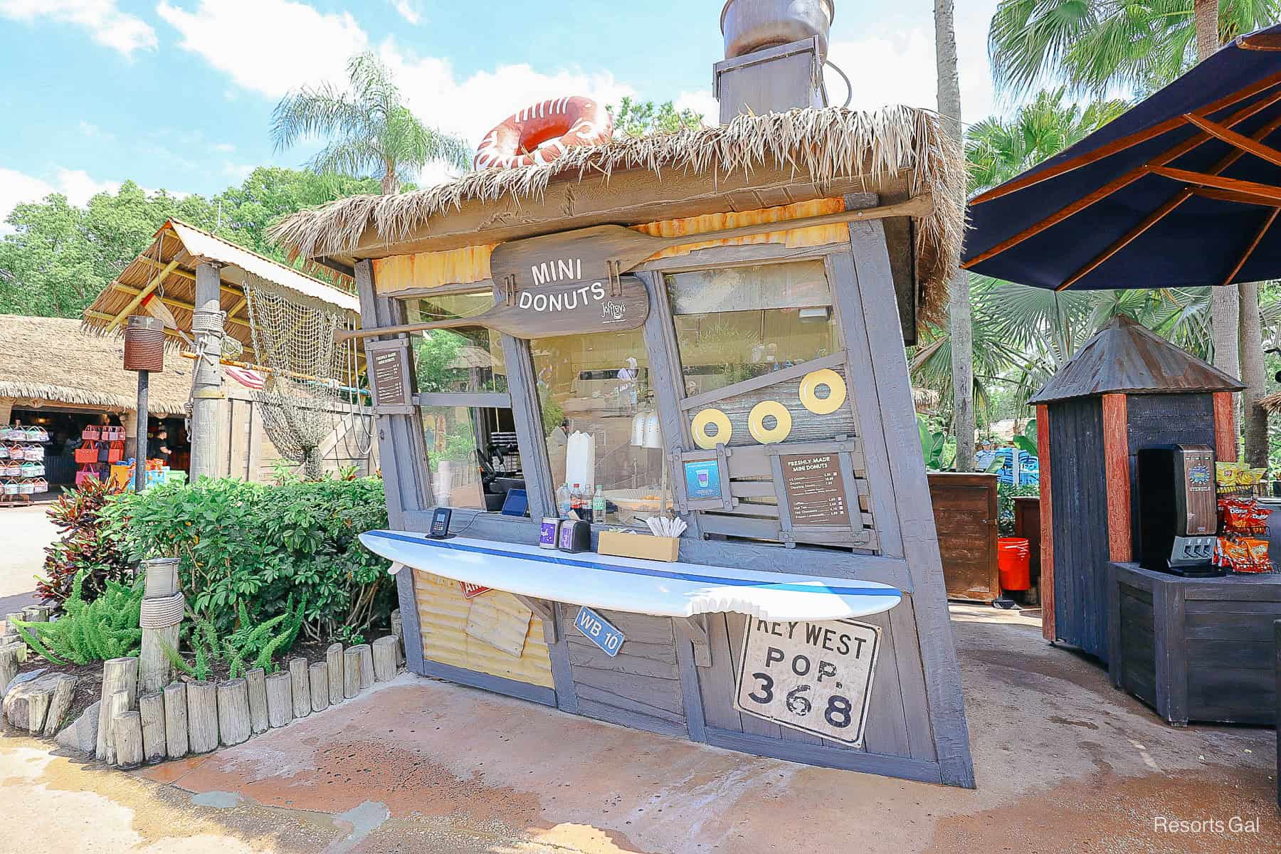 mini donuts from Typhoon Lagoon 