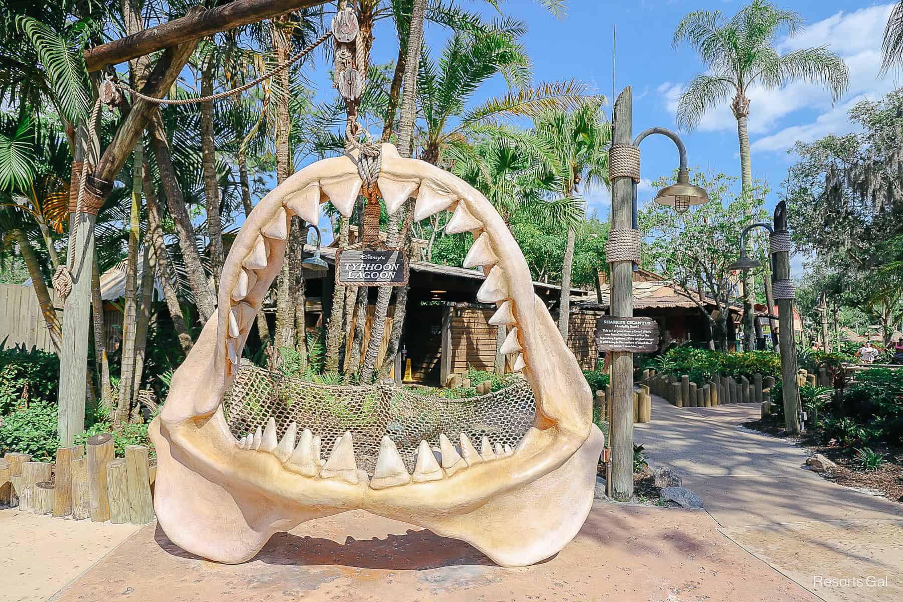 shark jaws photo opportunity at Typhoon Lagoon 