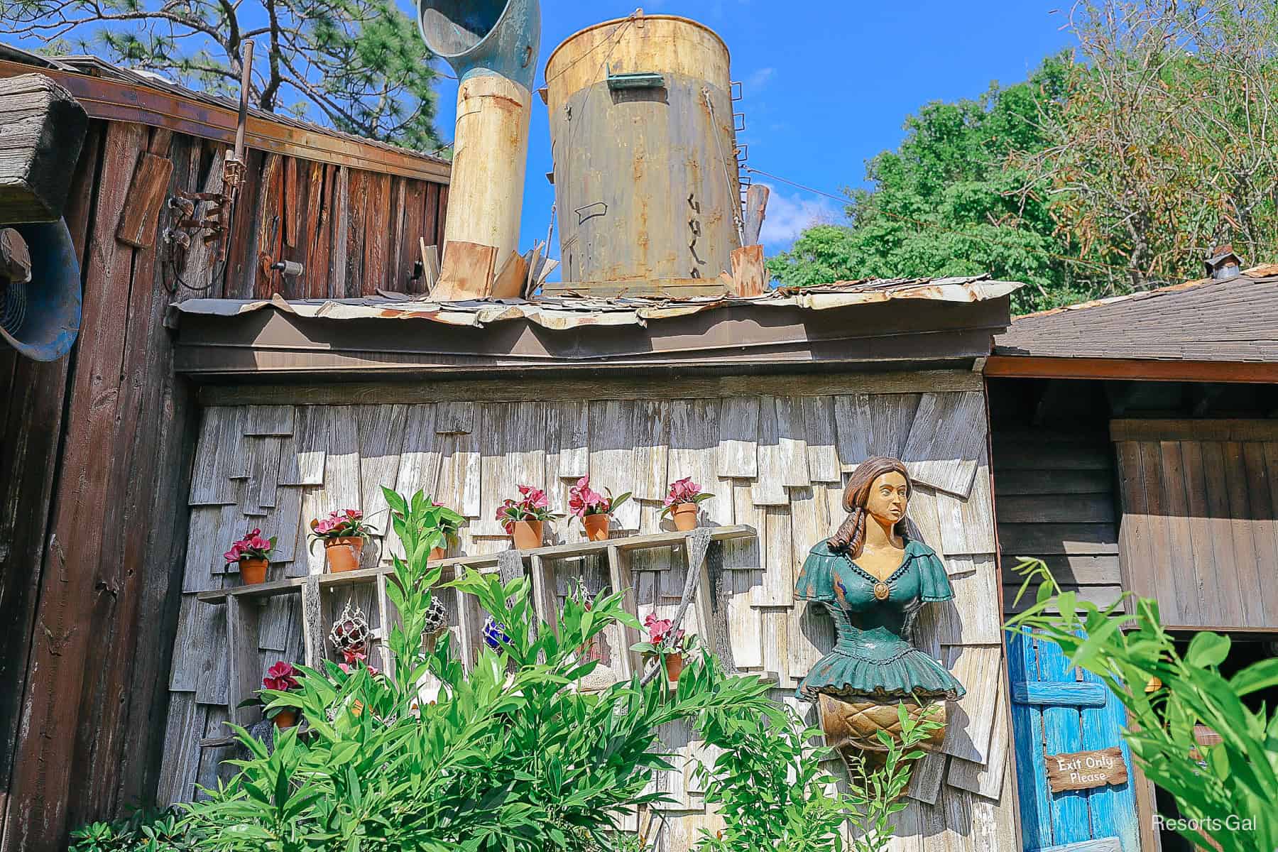 Typhoon Tilly's decorative around the restaurant 