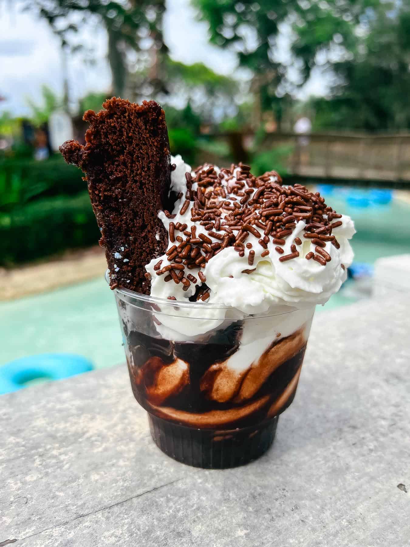 a hot fudge brownie sundae with whipped cream from Typhoon Lagoon water park 