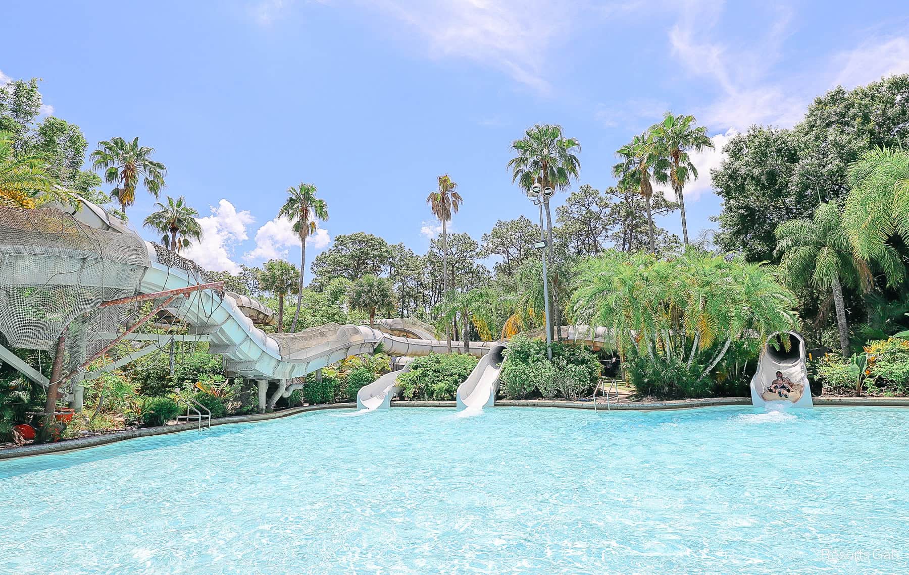 Crush n' Gusher at Disney's Typhoon Lagoon