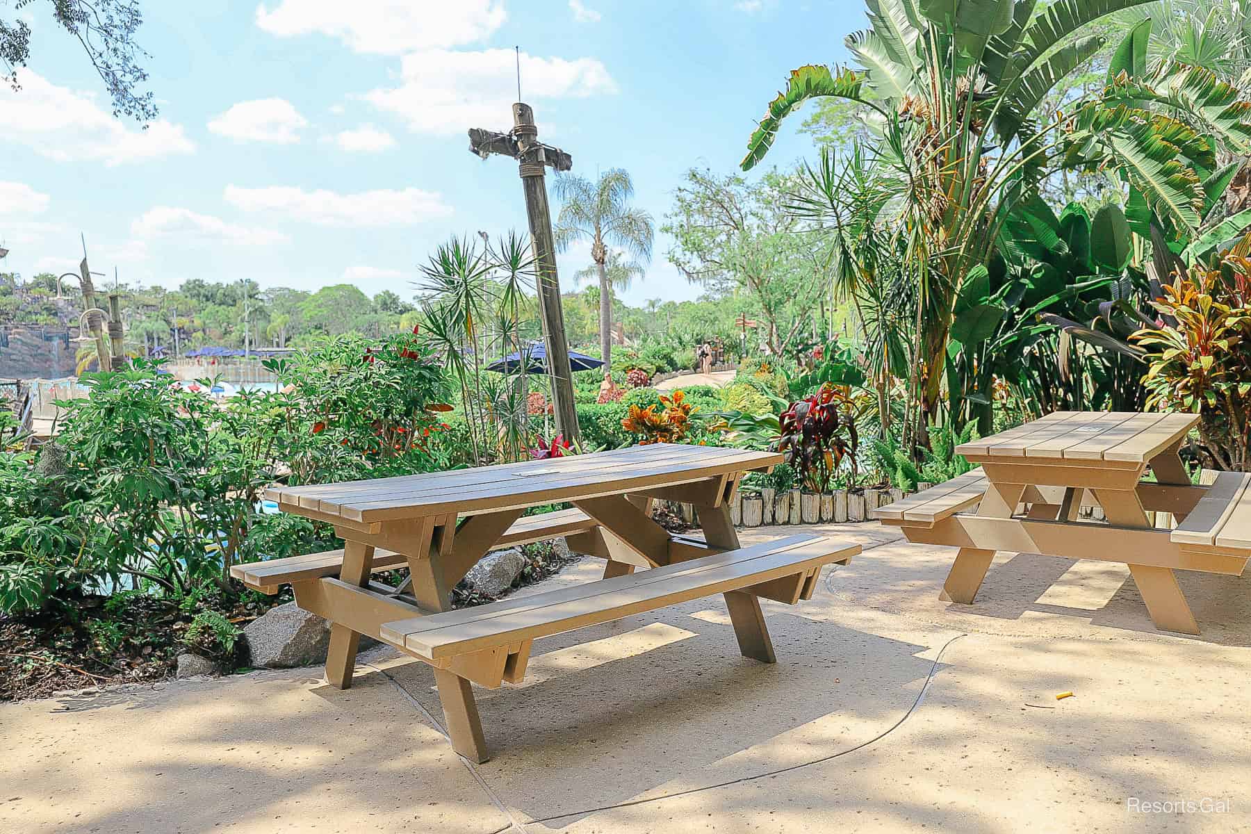 two picnic benches near the lazy river at Typhoon Lagoon 