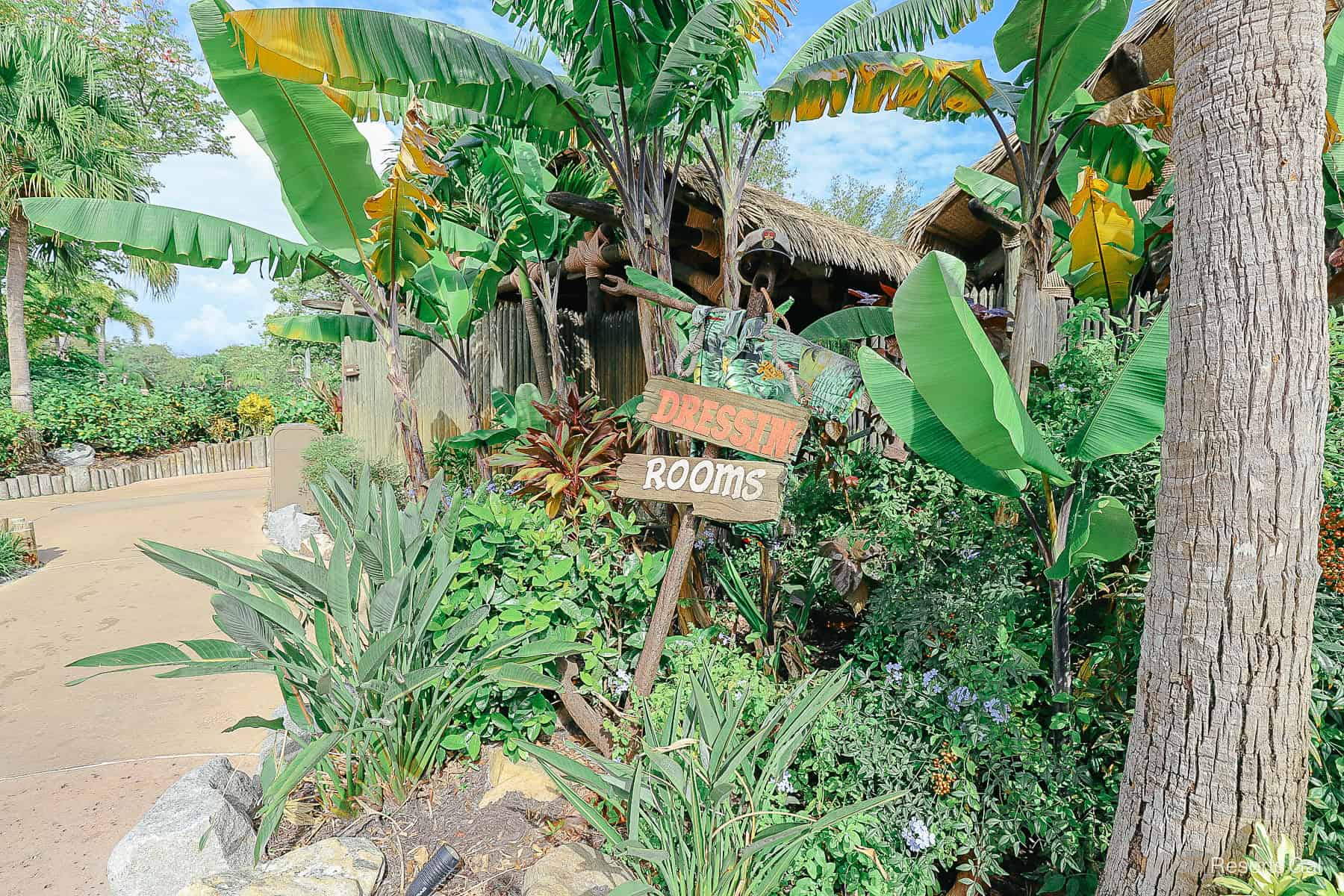 Dressing Rooms at Disney's Typhoon Lagoon 