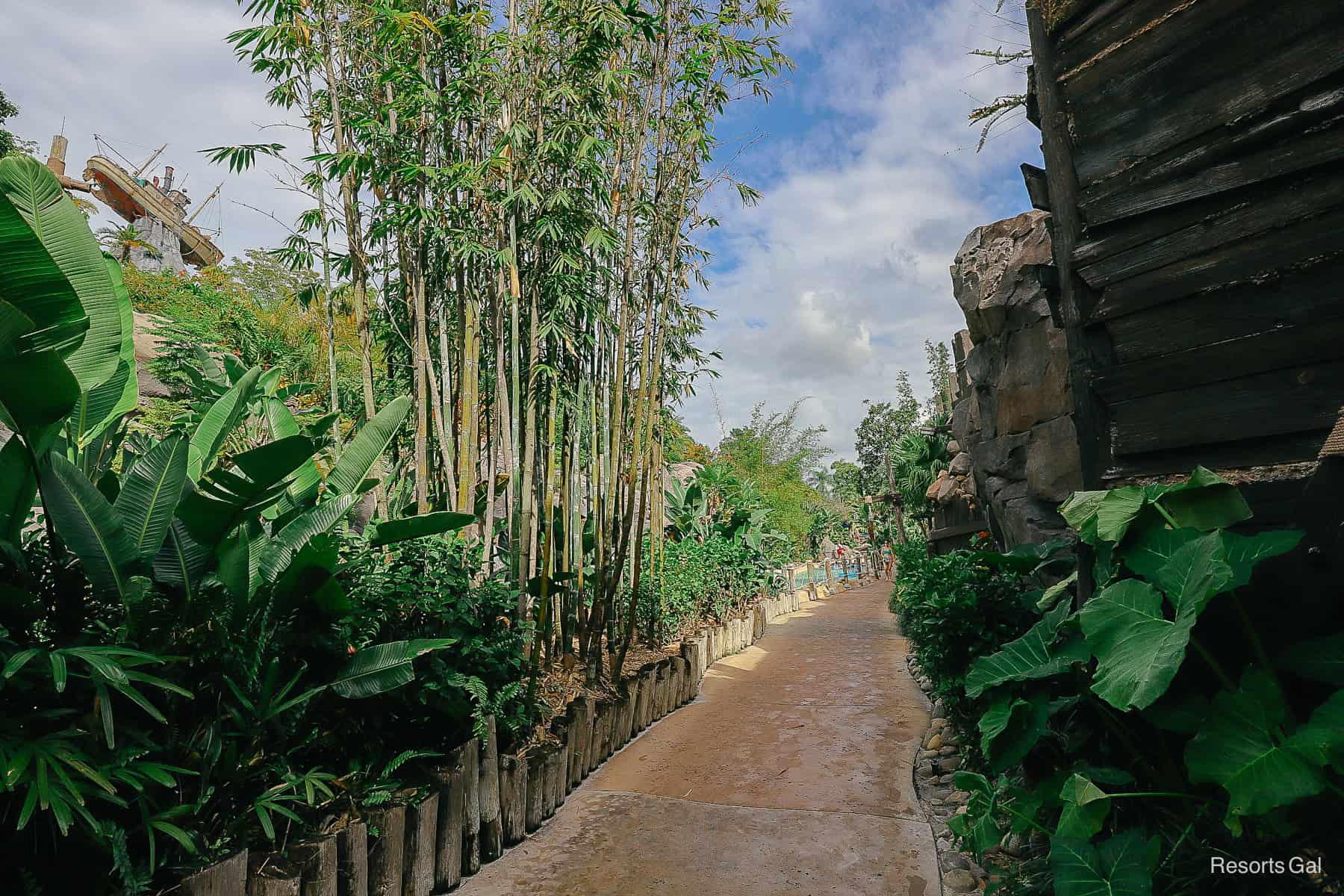 a small path alongside the lazy river 