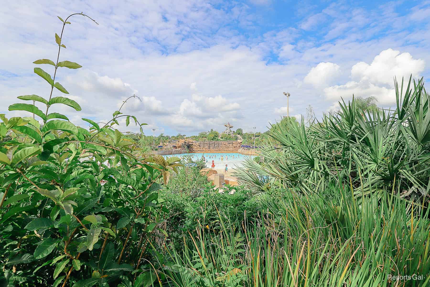 Typhoon Lagoon's Surf Pool