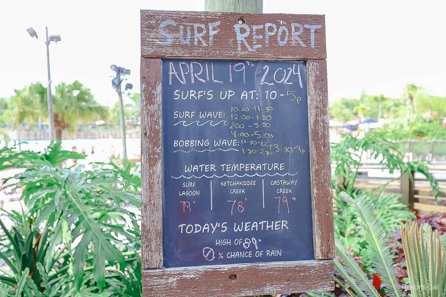 Surf Report 