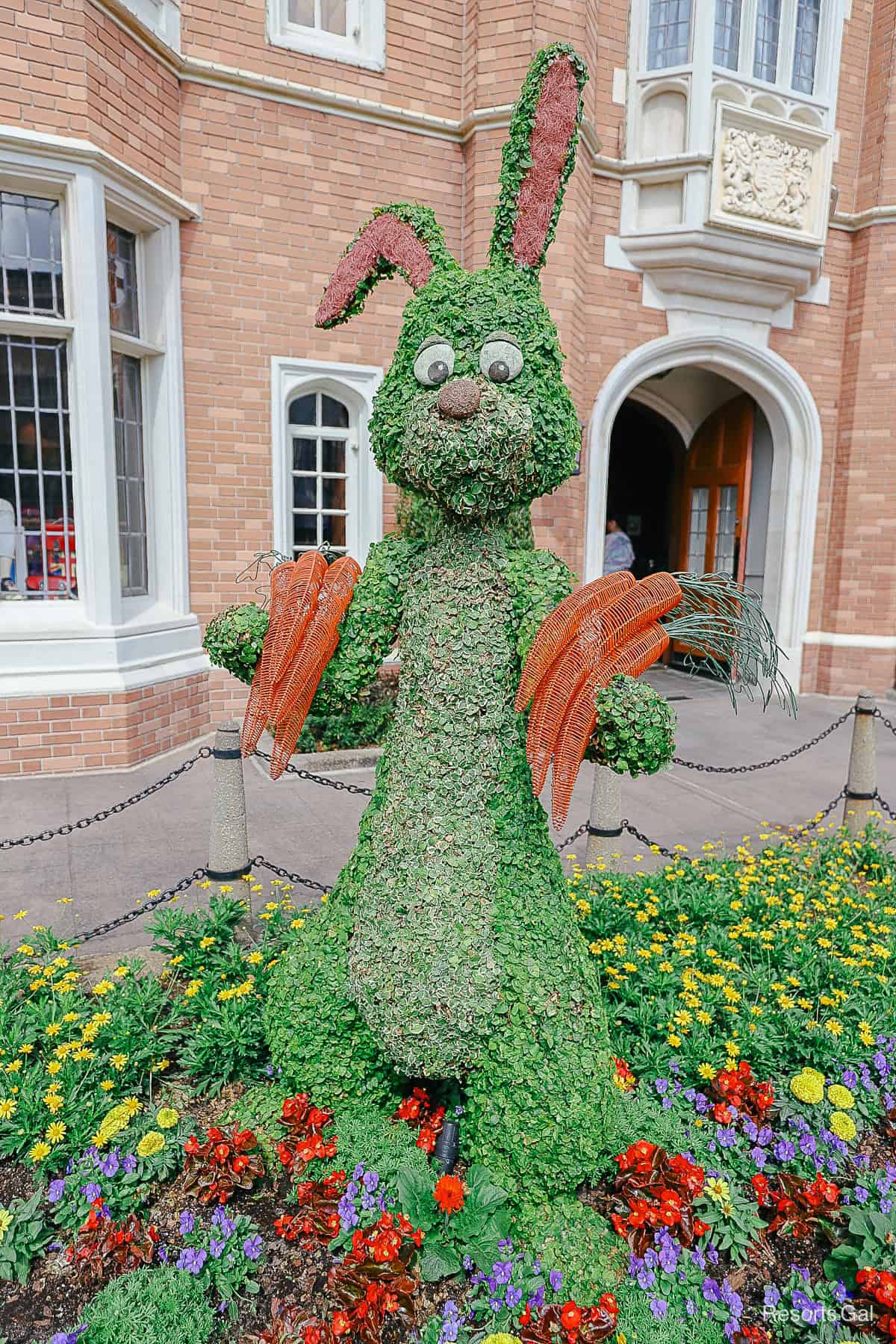 Rabbit has pink flowers on the interior of his ears in 2023 