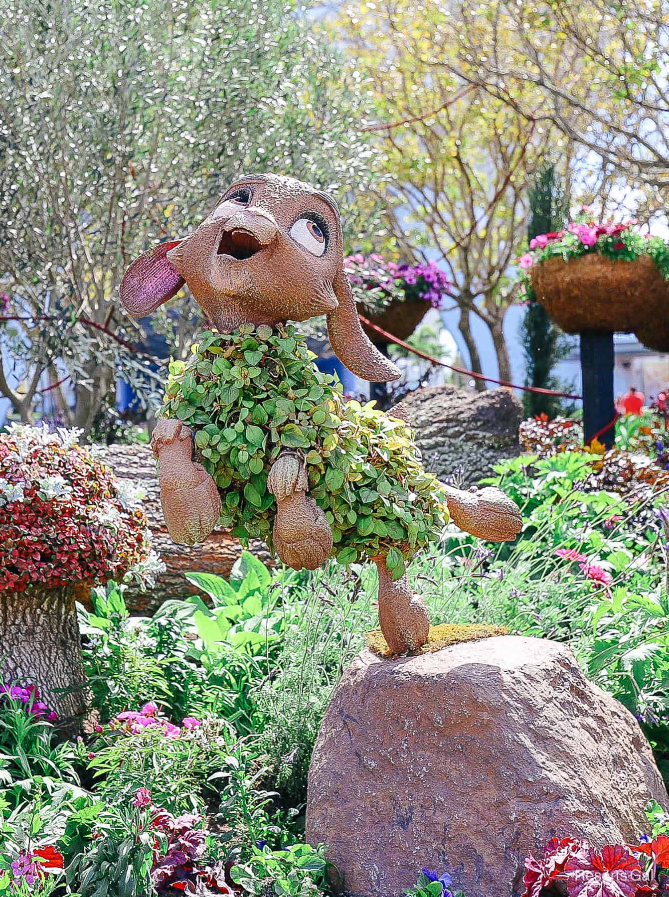 close up of Valentino in topiary form 