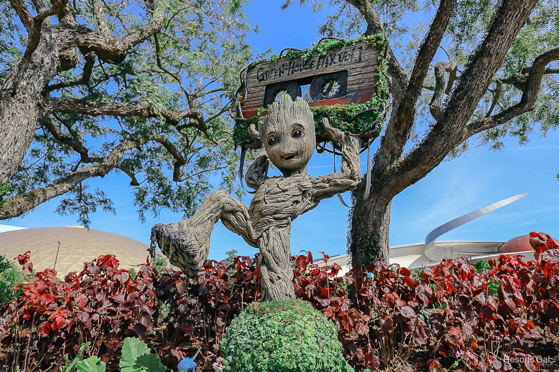 Young Groot Topiary at Epcot