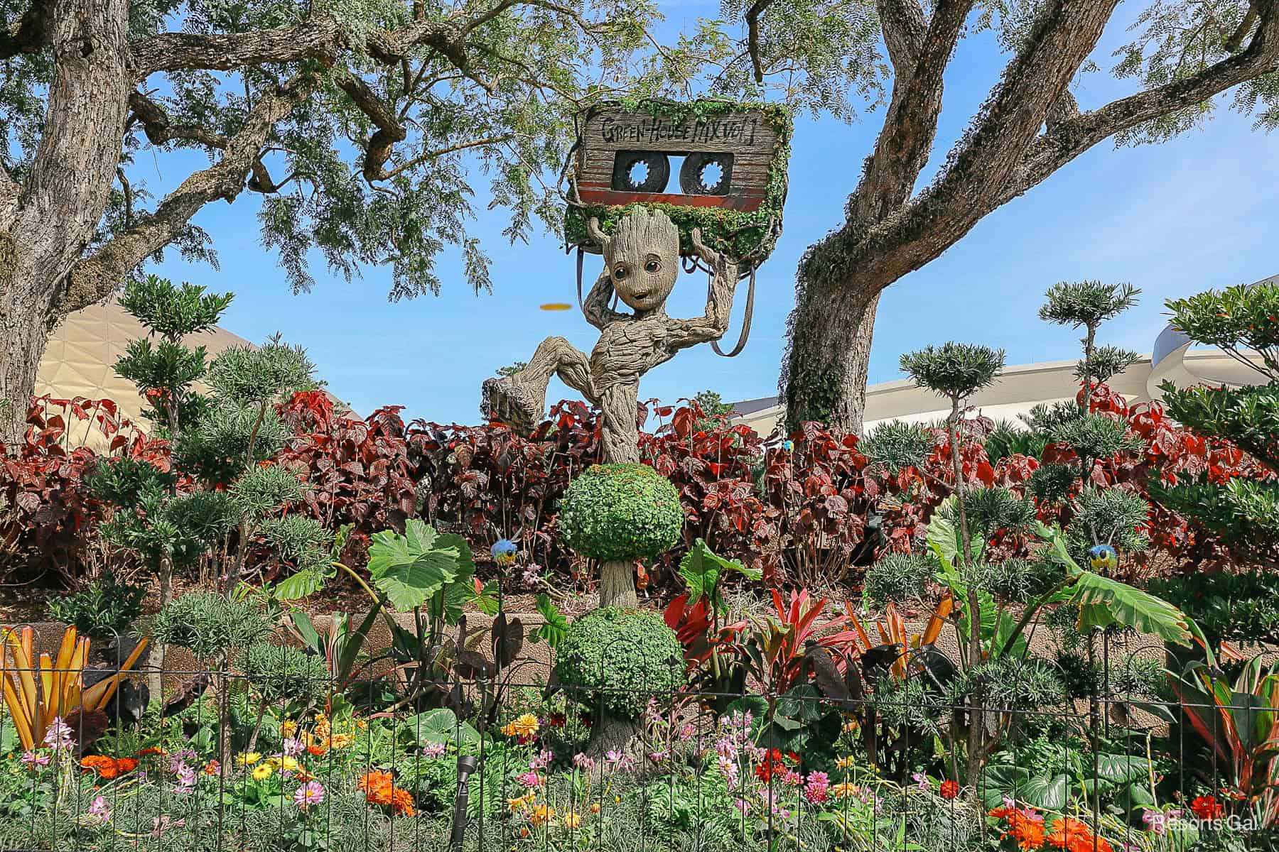 Young Groot entire topiary garden at Epcot Flower and Garden 