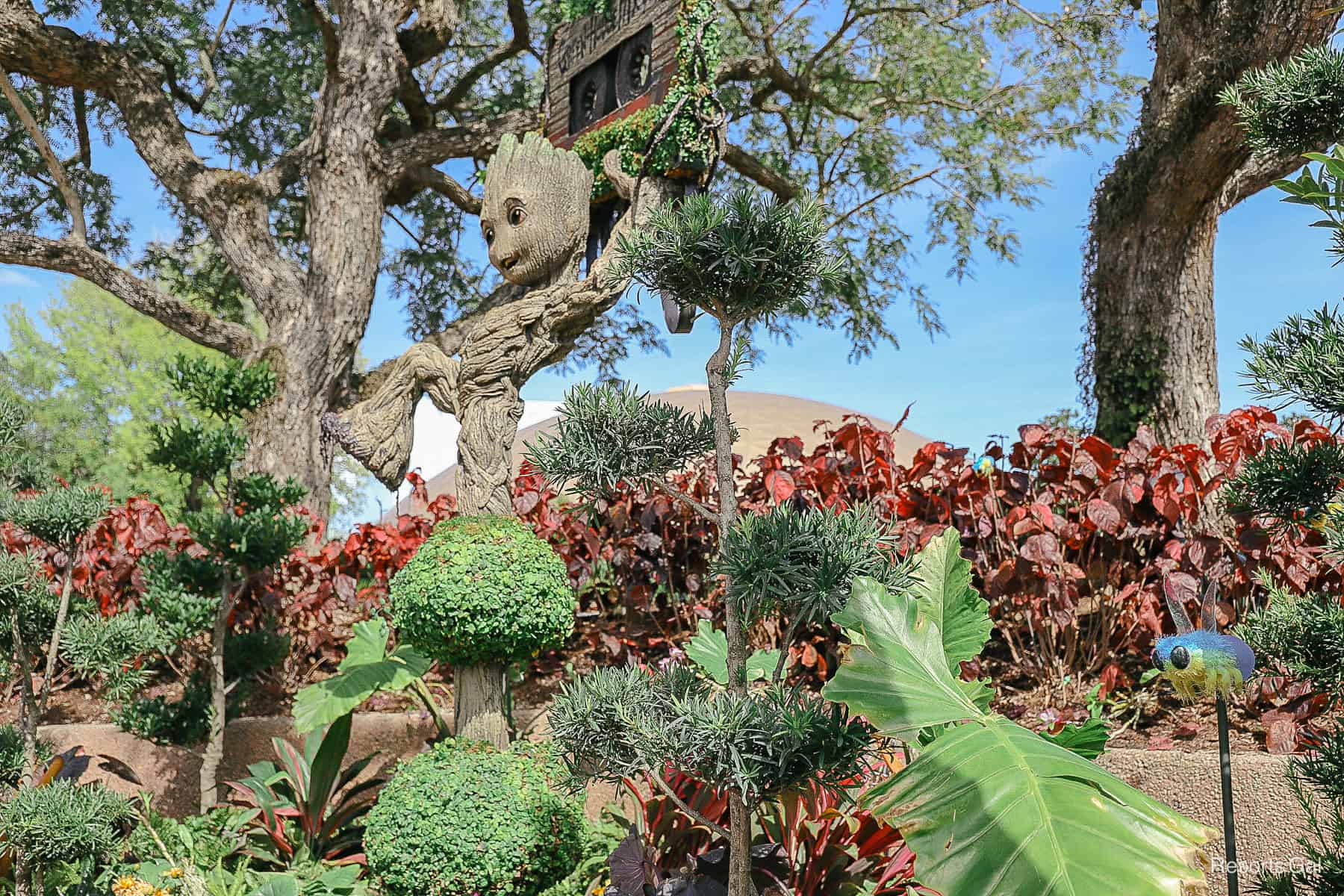 right angle view of Groot Topiary 