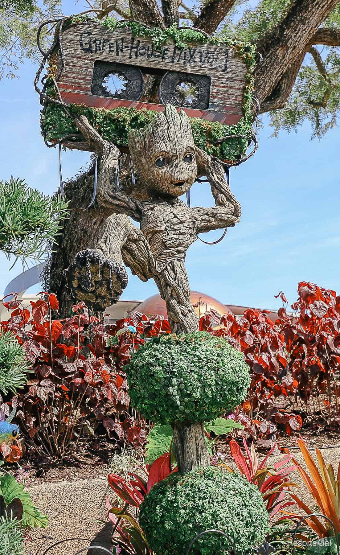 Young Groot topiary features musical element. 